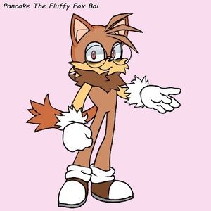 Meet your Posher, Donald